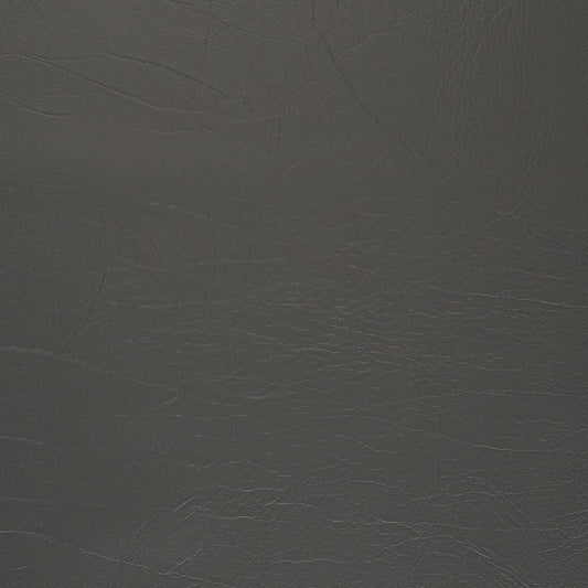 V1010 Shadow Marine Vinyl II Collection (Charlotte Fabrics)