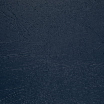 V1011 Indigo Marine Vinyl II Collection (Charlotte Fabrics)