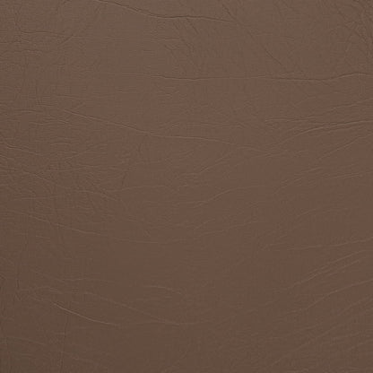 V1012 Hazelnut Marine Vinyl II Collection (Charlotte Fabrics)