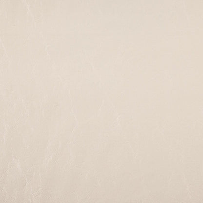 V1015 Pearl Marine Vinyl II Collection (Charlotte Fabrics)