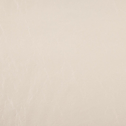 V1015 Pearl Marine Vinyl II Collection (Charlotte Fabrics)