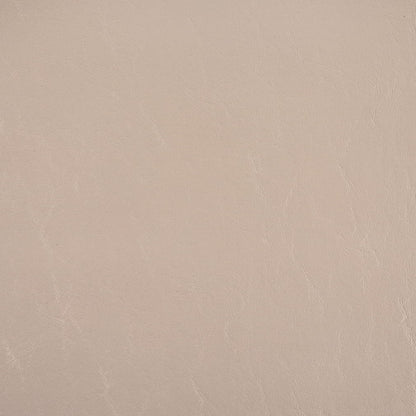 V1018 Chalk Marine Vinyl II Collection (Charlotte Fabrics)