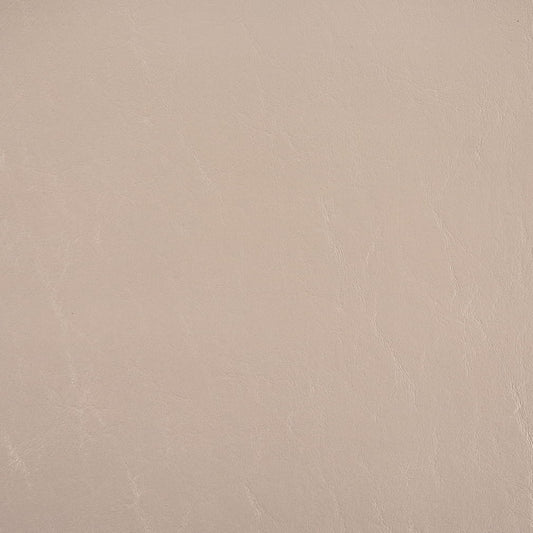 V1018 Chalk Marine Vinyl II Collection (Charlotte Fabrics)