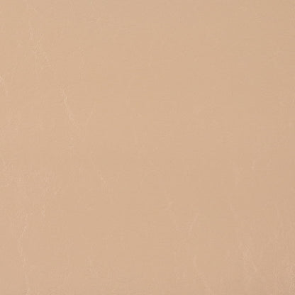 V1023 Vanilla Marine Vinyl II Collection (Charlotte Fabrics)