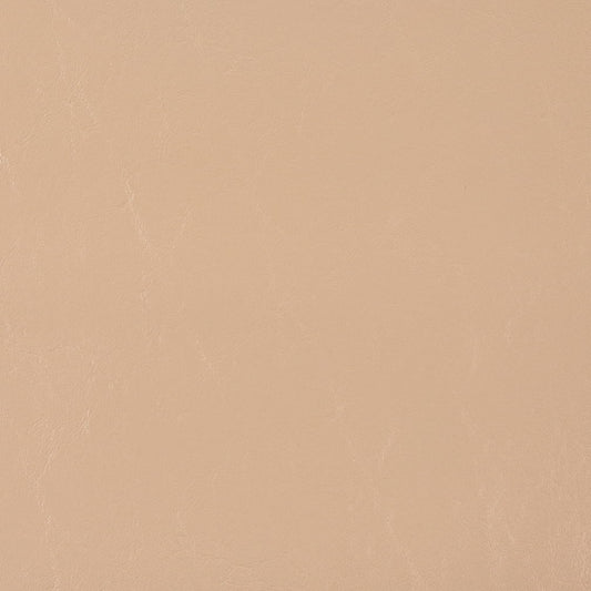 V1023 Vanilla Marine Vinyl II Collection (Charlotte Fabrics)