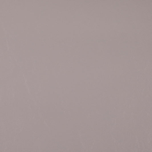 V1025 Fog Marine Vinyl II Collection (Charlotte Fabrics)