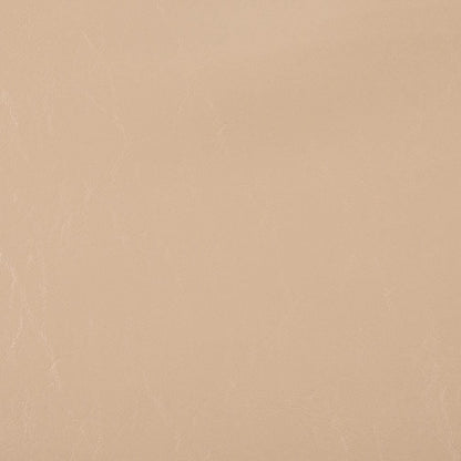 V1030 Buttermilk Marine Vinyl II Collection (Charlotte Fabrics)