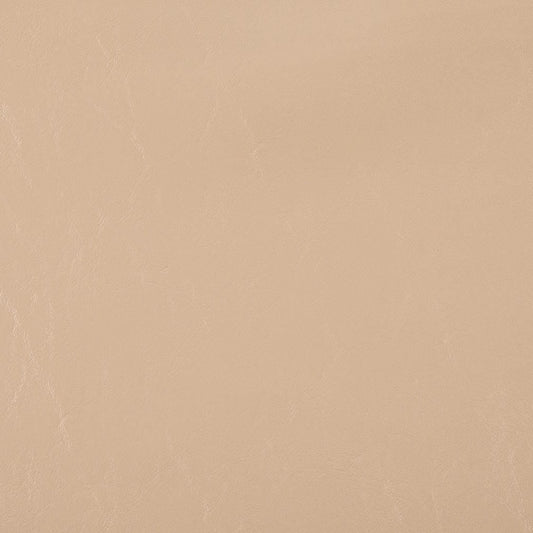 V1030 Buttermilk Marine Vinyl II Collection (Charlotte Fabrics)