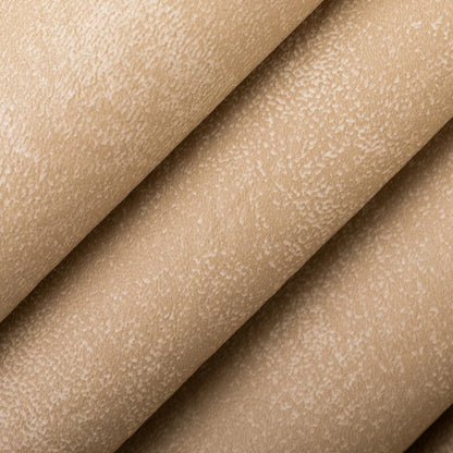 V1041 Sand Marine Vinyl II Collection (Charlotte Fabrics)