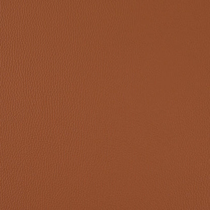 V1051 Spice Marine Vinyl II Collection (Charlotte Fabrics)