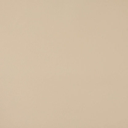 V1065 Cream Marine Vinyl II Collection (Charlotte Fabrics)