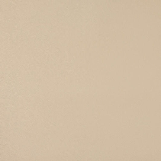 V1065 Cream Marine Vinyl II Collection (Charlotte Fabrics)