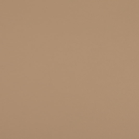 V1067 Latte Marine Vinyl II Collection (Charlotte Fabrics)