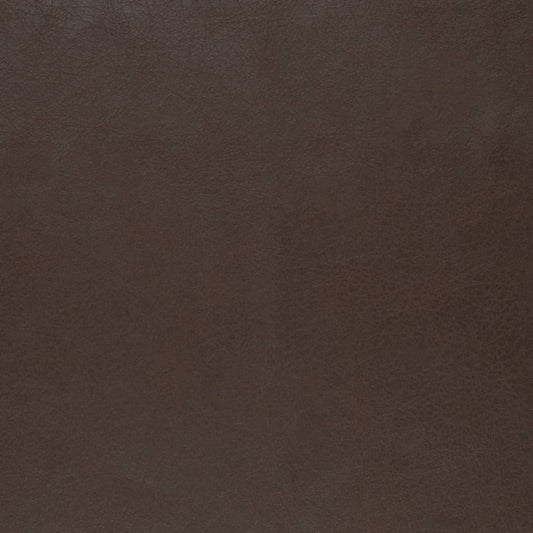 V856 CHOCOLATE (Charlotte Fabrics)