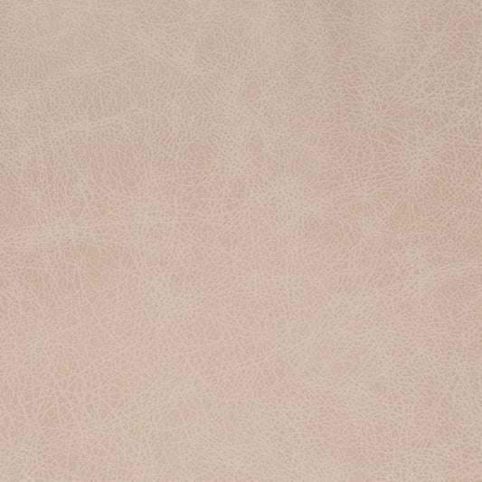 V857 FOG (Charlotte Fabrics)