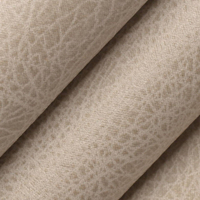 V857 FOG (Charlotte Fabrics)