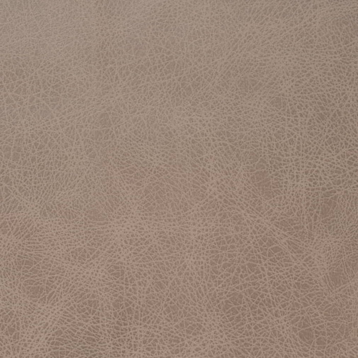 V858 LATTE (Charlotte Fabrics)