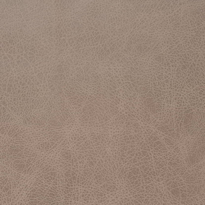 V858 LATTE (Charlotte Fabrics)