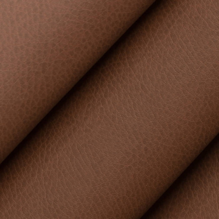 V861 RUST (Charlotte Fabrics)