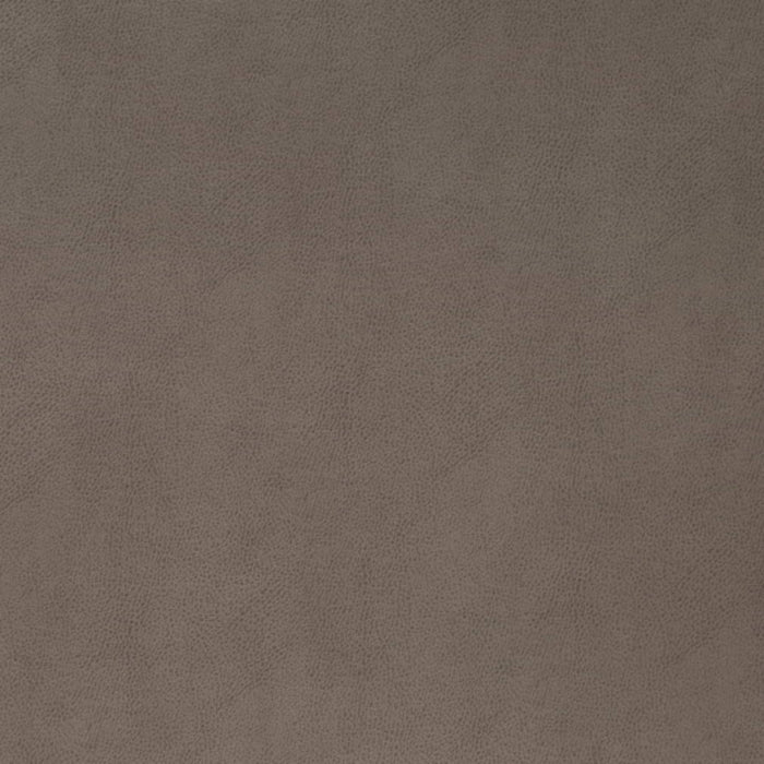 V865 PEWTER (Charlotte Fabrics)