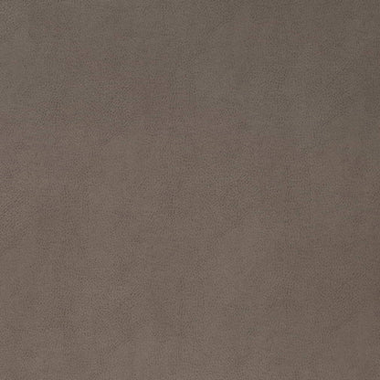 V865 PEWTER (Charlotte Fabrics)