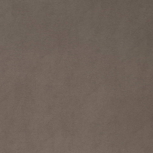 V865 PEWTER (Charlotte Fabrics)