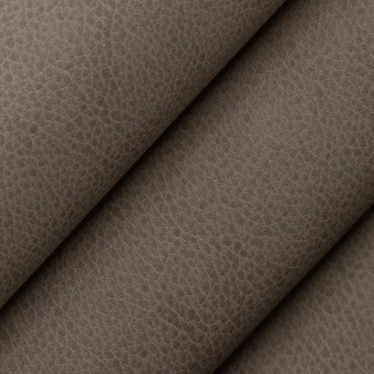 V865 PEWTER (Charlotte Fabrics)