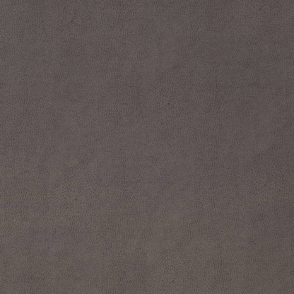 V866 GUNMETAL (Charlotte Fabrics)