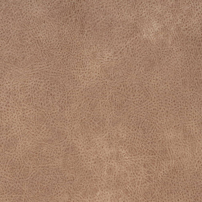 V868 BUCKSKIN (Charlotte Fabrics)