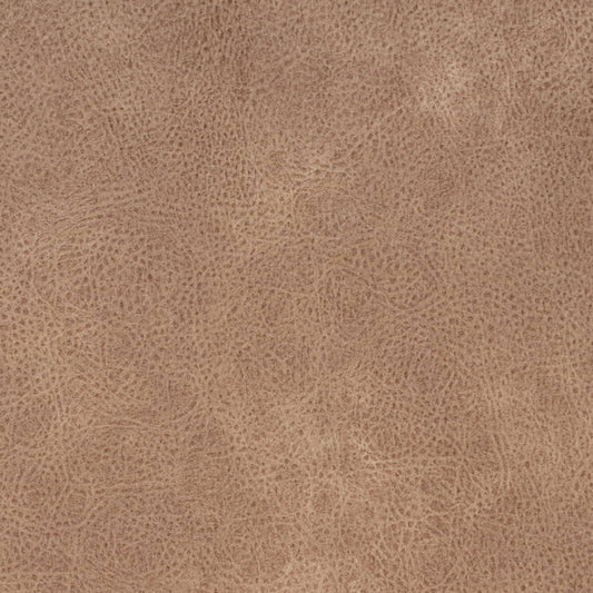 V868 BUCKSKIN (Charlotte Fabrics)