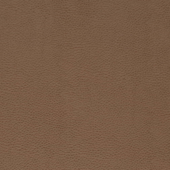 V869 BRONZE (Charlotte Fabrics)