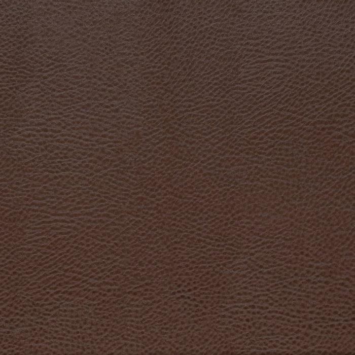 V872 PECAN (Charlotte Fabrics)