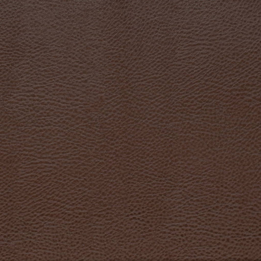 V872 PECAN (Charlotte Fabrics)