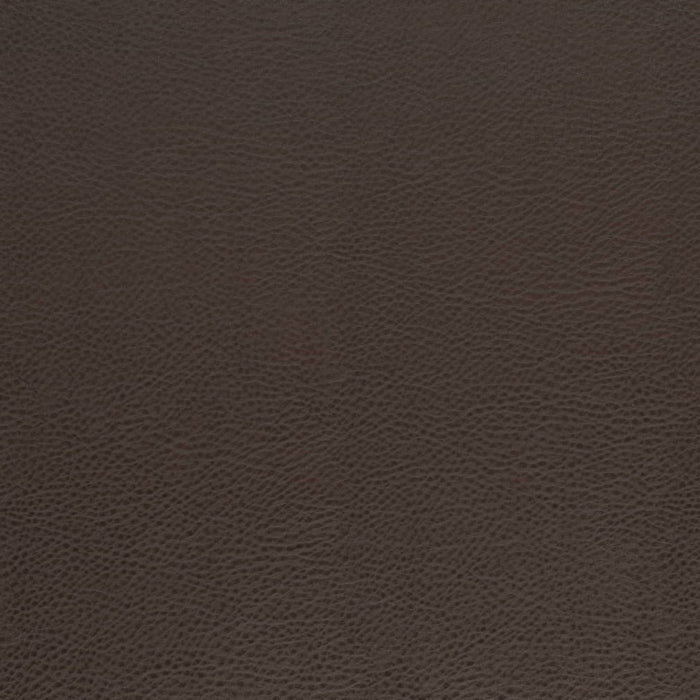 V874 WALNUT (Charlotte Fabrics)