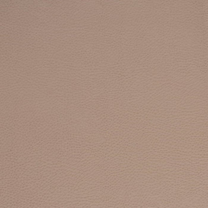 V875 CLAY (Charlotte Fabrics)