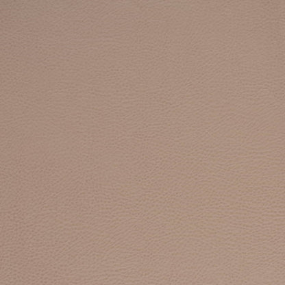 V875 CLAY (Charlotte Fabrics)