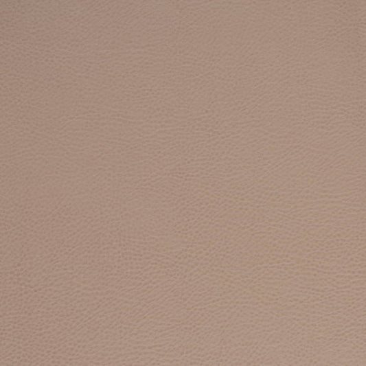 V875 CLAY (Charlotte Fabrics)