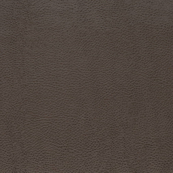 V876 GRAPHITE (Charlotte Fabrics)