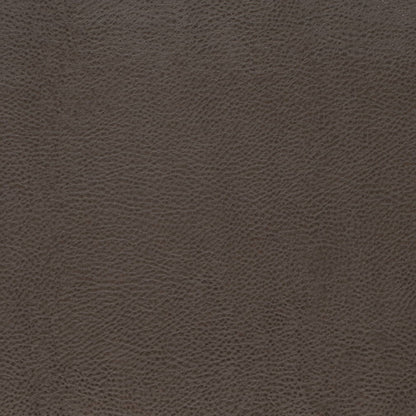 V876 GRAPHITE (Charlotte Fabrics)