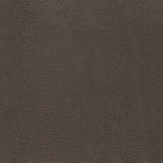 V876 GRAPHITE (Charlotte Fabrics)