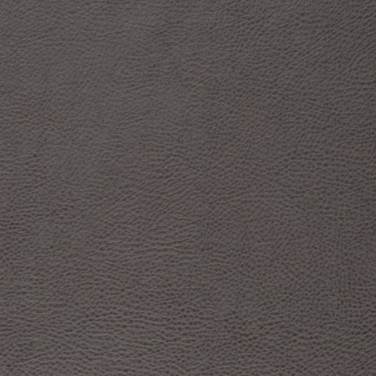 V877 LEAD (Charlotte Fabrics)