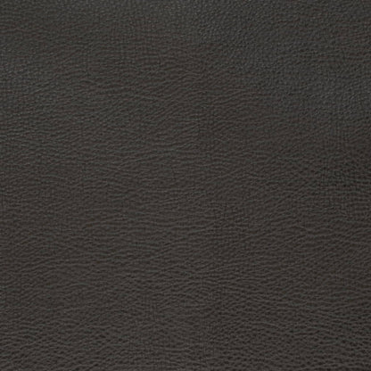 V879 EBONY (Charlotte Fabrics)