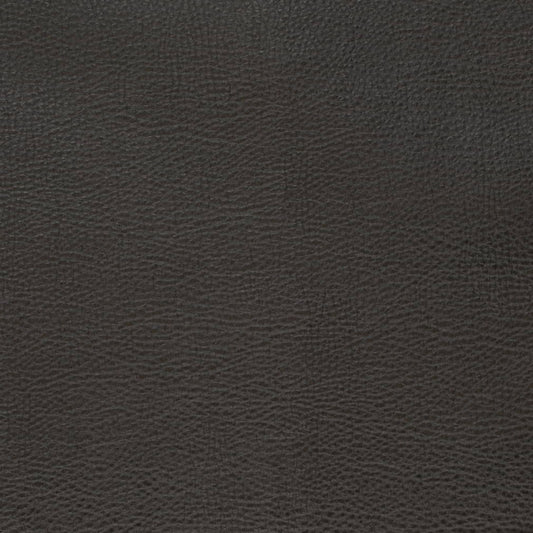 V879 EBONY (Charlotte Fabrics)