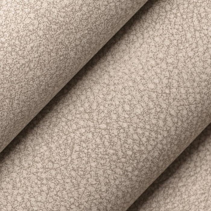 V882 ASH (Charlotte Fabrics)