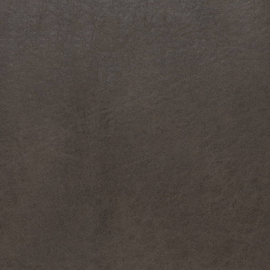 V895 STEEL (Charlotte Fabrics)