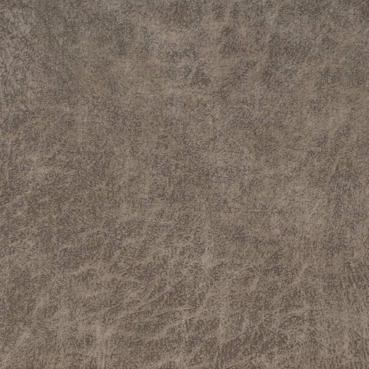 V902 STONE (Charlotte Fabrics)