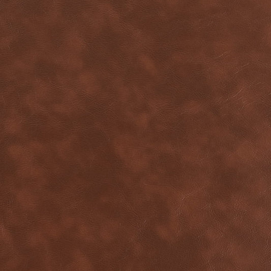 V922 RUST ULTRAHYDE (Charlotte Fabrics)